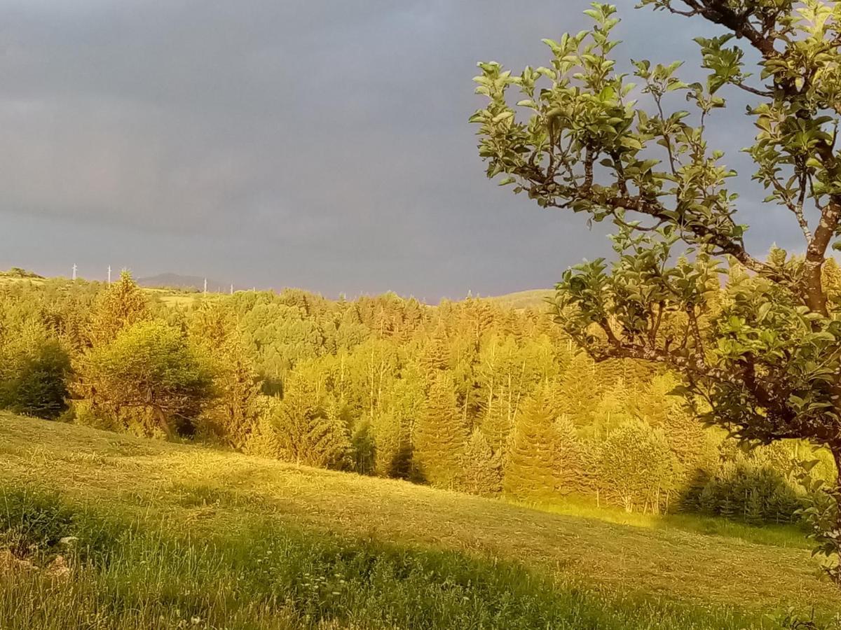 Vila Trtovic Nova Varoš Exteriör bild