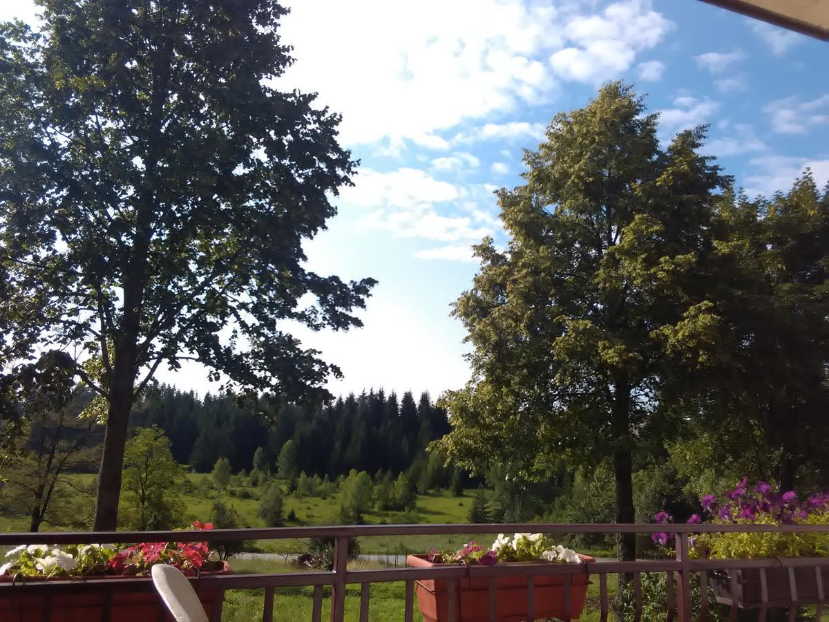 Vila Trtovic Nova Varoš Exteriör bild