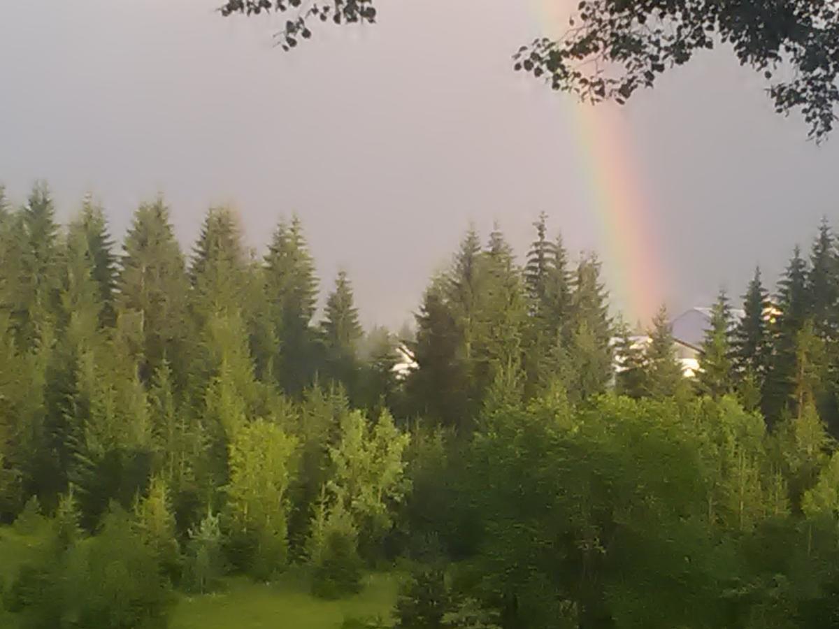 Vila Trtovic Nova Varoš Exteriör bild