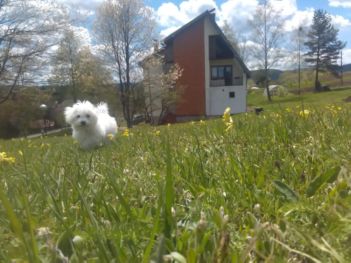 Vila Trtovic Nova Varoš Exteriör bild